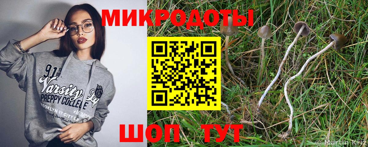 Псилоцибиновые грибы ЛСД Пушкино